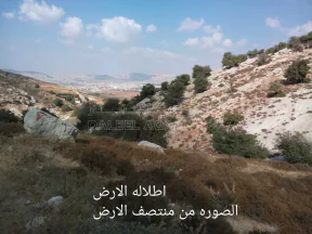 أرض في السرو حي العوايشه دوار الحمر ام النعاج  - 45,000 دأ - صورة NaN
