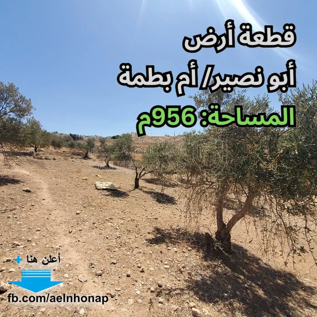 أرض في أبو نصير - أم بطمة - قرب مسجد النبي إبراهيم الخليل - 110,000 دأ - صورة 1