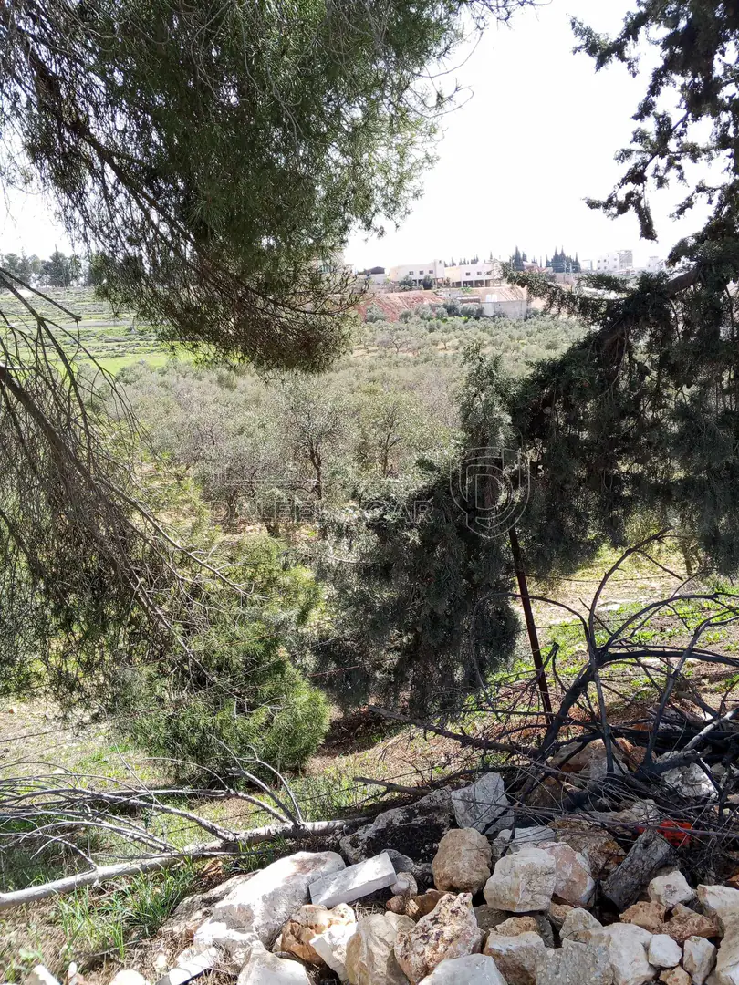 أرض في 6545م زراعي مزرعه خشروم ناعور بسعر مغري - 560,000 دأ - صورة 1