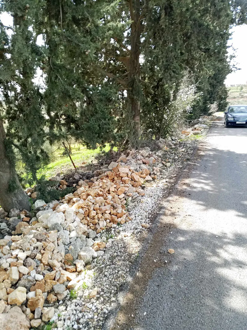 أرض في 6545م زراعي مزرعه خشروم ناعور بسعر مغري - 560,000 دأ - صورة 1