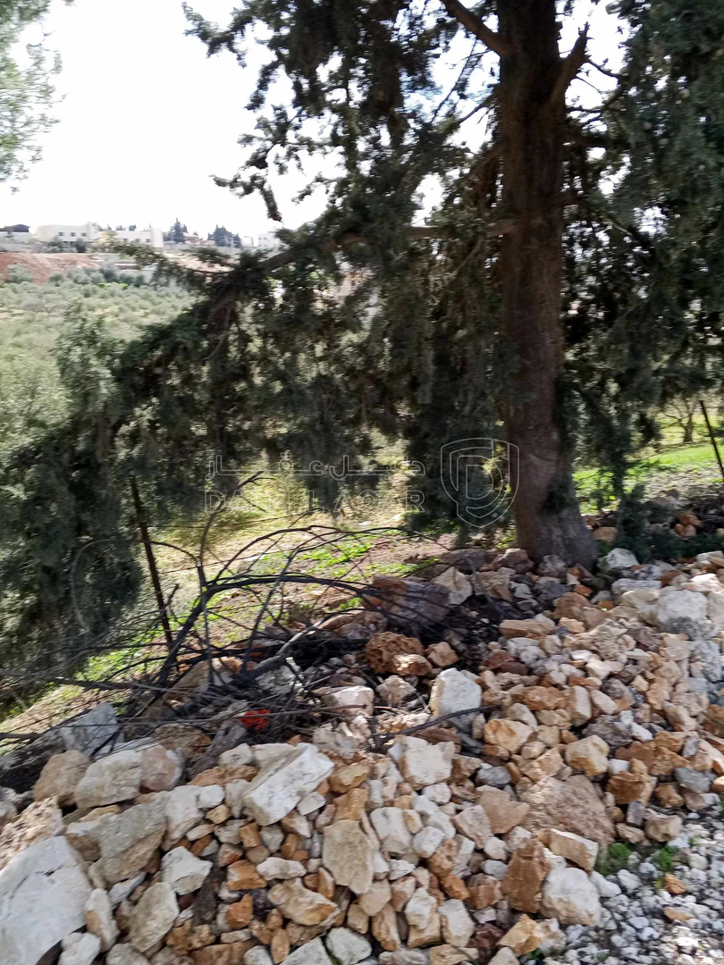أرض في 6545م زراعي مزرعه خشروم ناعور بسعر مغري - 560,000 دأ - صورة 1