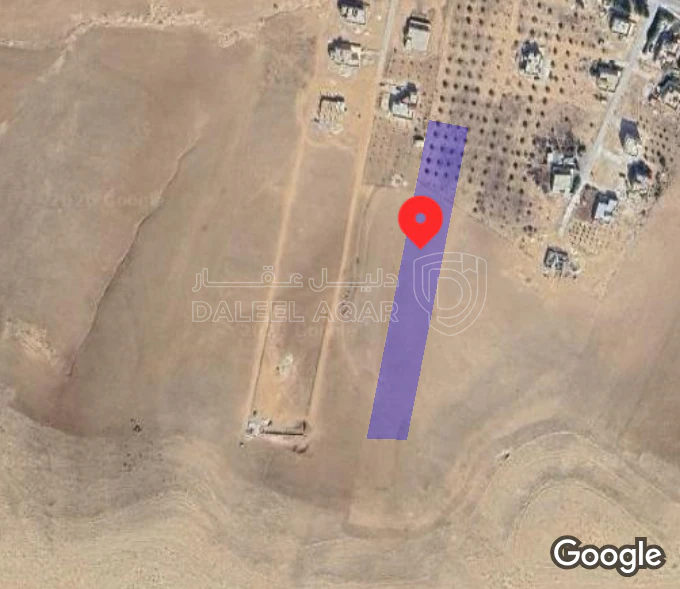 أرض في المفرق ايدون - 61,000 دأ - صورة 2