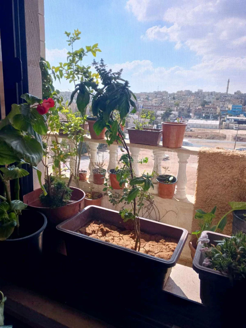 شقة في خريبه السوق حي الإيمان  - 60,000 دأ - صورة 1