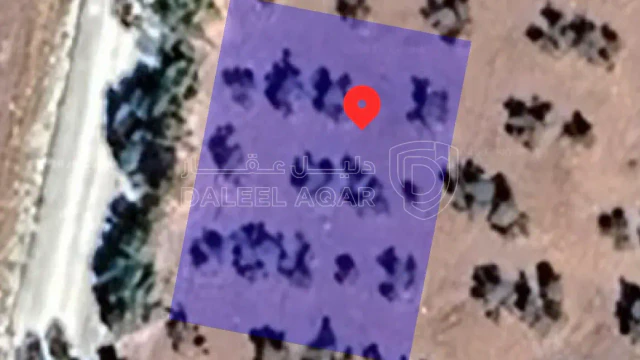 أرض - عمان ناعور طريق مادبا الغربي مقابل كلية القيادة وا - 44500 دأ