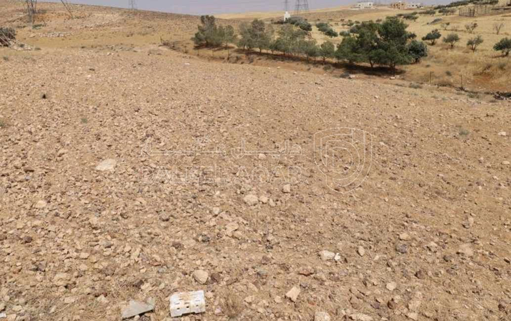 أرض في قرب مدرسة البيضاء الحكومية - 30,000 دأ - صورة 1
