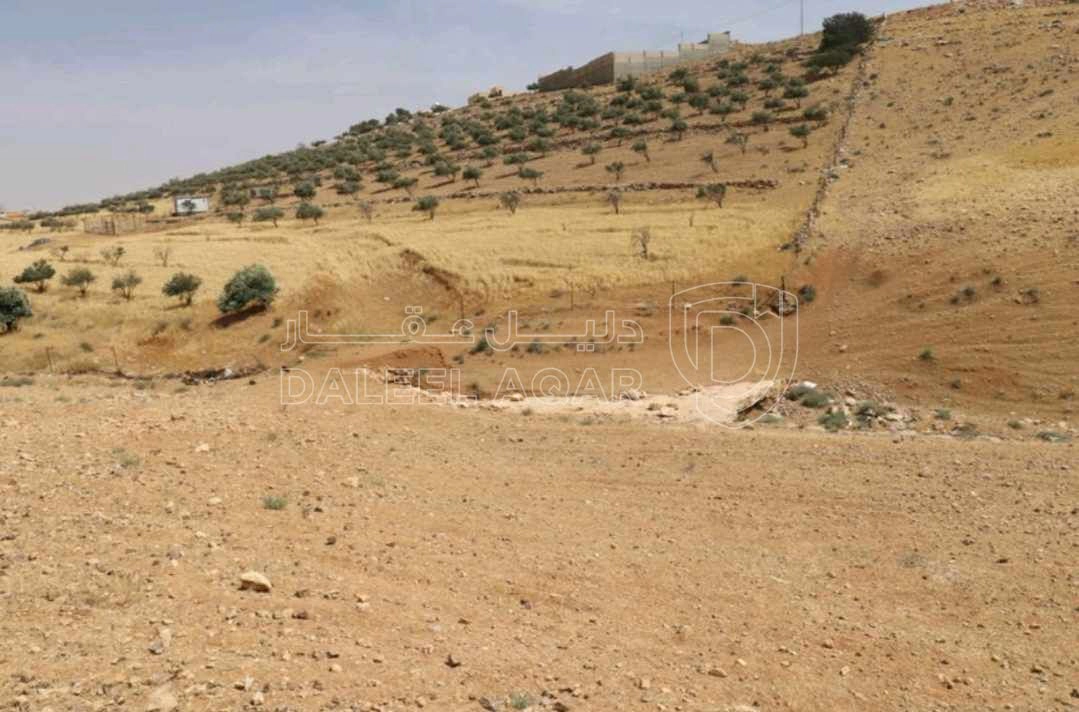 أرض في قرب مدرسة البيضاء الحكومية - 30,000 دأ - صورة 1