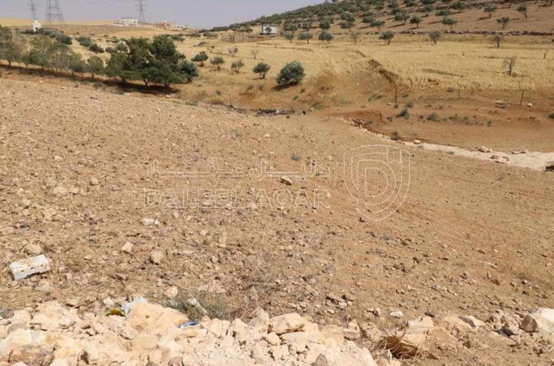 أرض في قرب مدرسة البيضاء الحكومية - 30,000 دأ - صورة 1