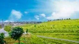 أرض في عمان - ناعور - 93,750 دأ - صورة 1