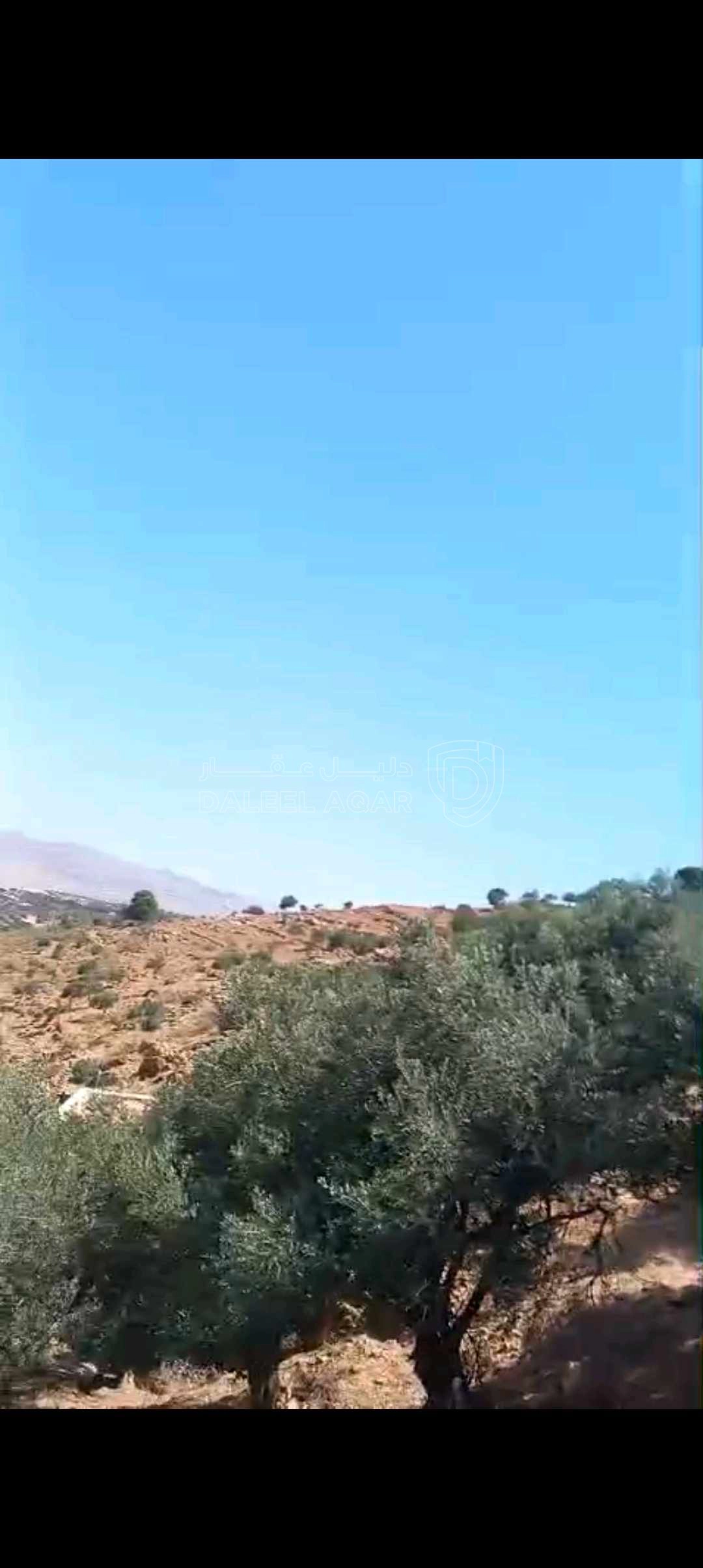 أرض في السلط الصبيحي مقابل بير حجاج - 130,000 دأ - صورة 1