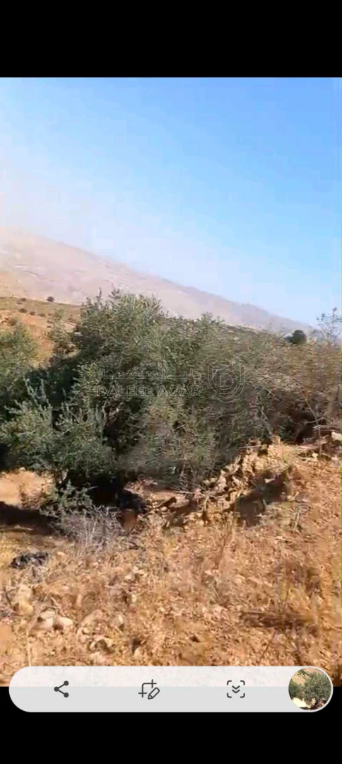 أرض في السلط الصبيحي مقابل بير حجاج - 130,000 دأ - صورة 1