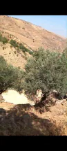 أرض في السلط الصبيحي مقابل بير حجاج - 130,000 دأ - صورة NaN