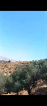 أرض في السلط الصبيحي مقابل بير حجاج - 130,000 دأ - صورة NaN