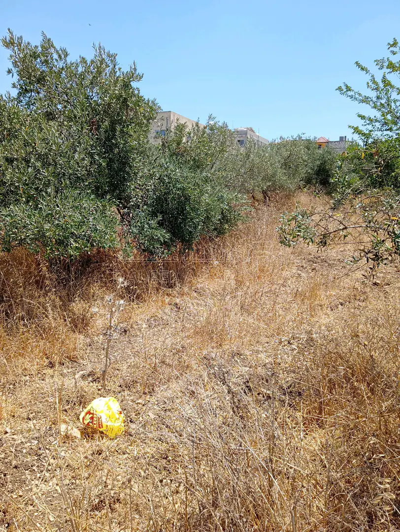 أرض في كفريوبا- منطقة جسر المشاة الحديد - 45,000 دأ - صورة 1