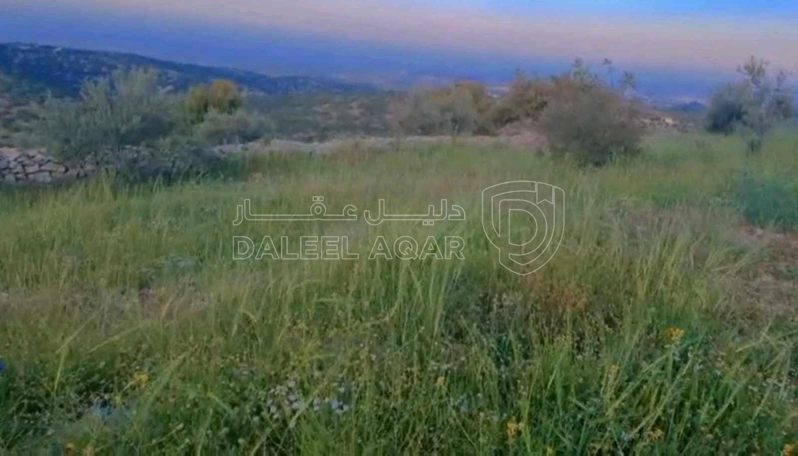 أرض في عجلون صخره - 85,000 دأ - صورة 1