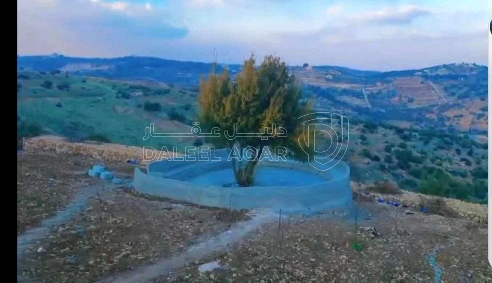 أرض في عجلون صخره - 85,000 دأ - صورة 1