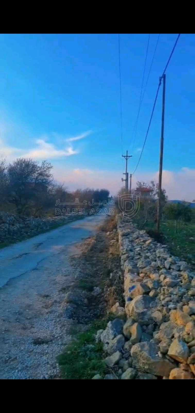 أرض في عجلون صخره - 85,000 دأ - صورة 1