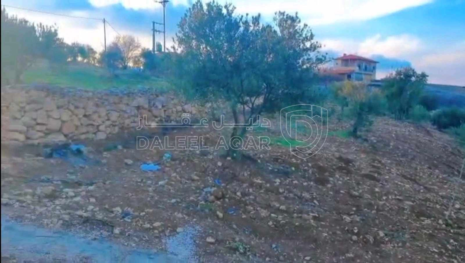 أرض في عجلون صخره - 85,000 دأ - صورة 1