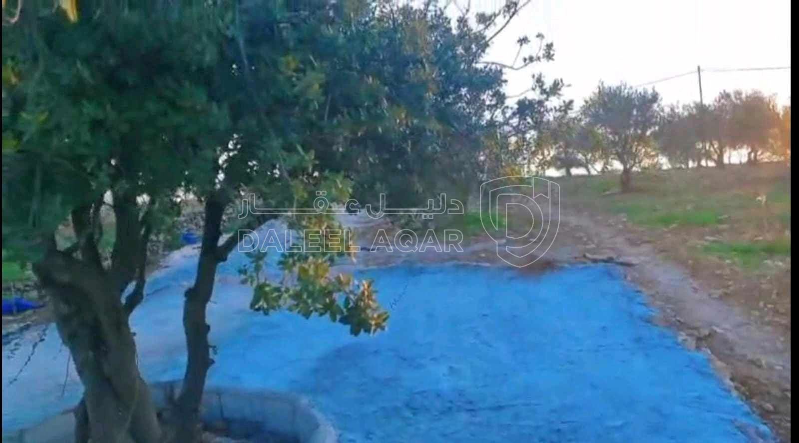 أرض في عجلون صخره - 85,000 دأ - صورة 1