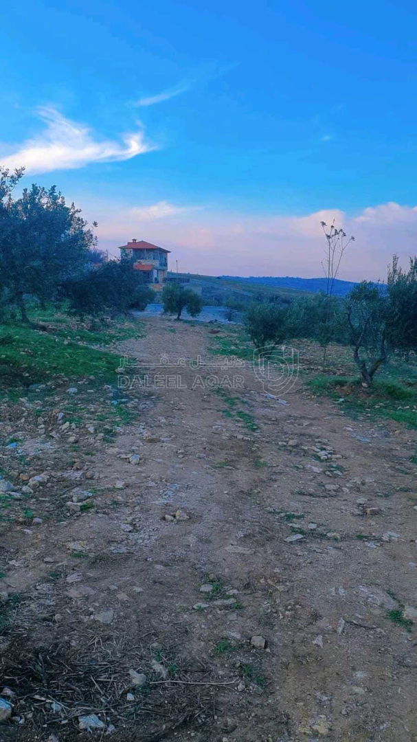 أرض في عجلون صخره - 85,000 دأ - صورة 1