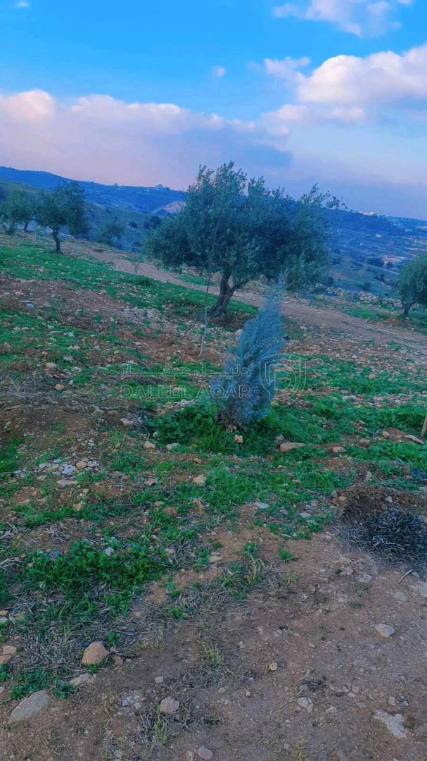 أرض في عجلون صخره - 85,000 دأ - صورة 1