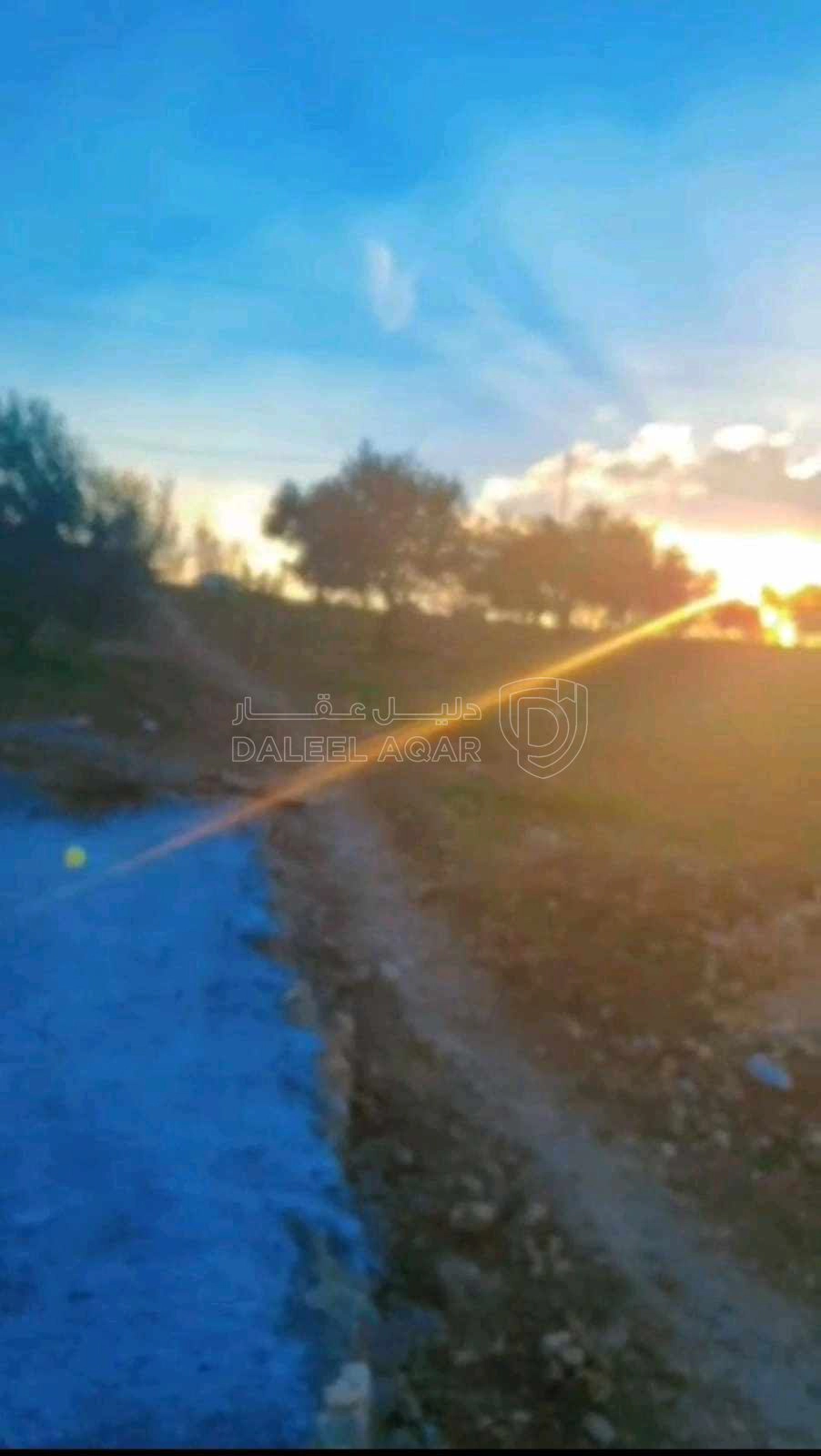 أرض في عجلون صخره - 85,000 دأ - صورة 1