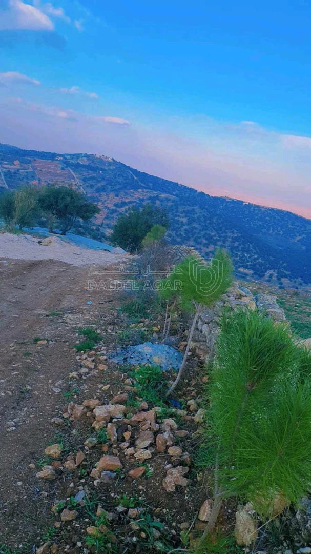 أرض في عجلون صخره - 85,000 دأ - صورة 1