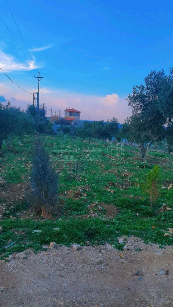 أرض في عجلون صخره - 85,000 دأ - صورة 1