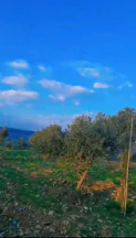 أرض في عجلون  صخره - 85,000 دأ - صورة NaN