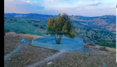 أرض في عجلون  صخره - 85,000 دأ - صورة NaN