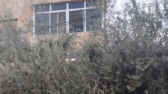 شقة في شقه إستثماريه بالدوار  السابع - 65,000 دأ - صورة NaN