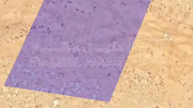 أرض في الجيزة ام الرصاص قرية سالية  - 7,000 دأ - صورة 1