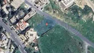 أرض - محافظة العاصمة- جنوب عمان- الطنيب - 400000 دأ