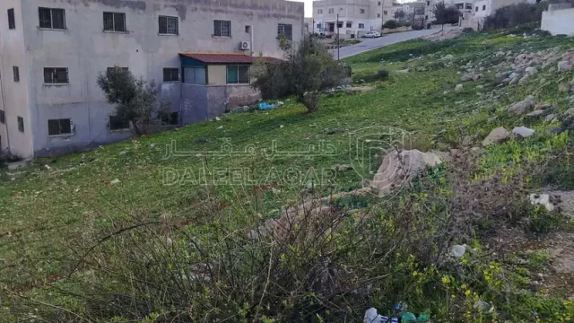 أرض - الحصن غرب صالة القناطر ومدرسة خديجه بقليل  - 50000 دأ