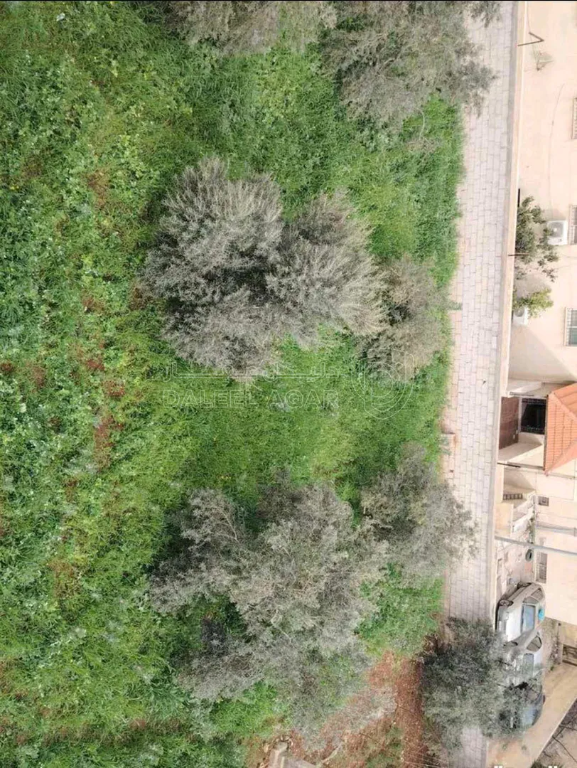 أرض في اربد بإتجاه غرب دوار البياضه ٢٠٠ متر  - 55,000 دأ - صورة 1