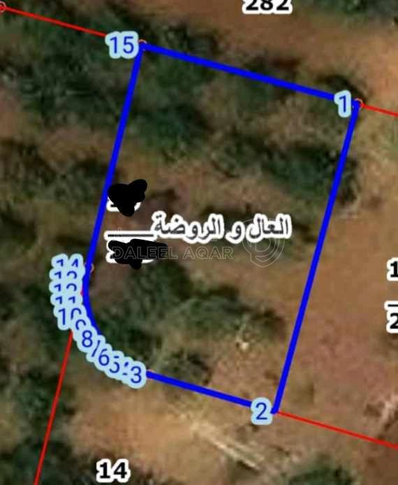 أرض في ناعور شارع مادبا الغربي بعد مسجد الصديق - 55,000 دأ - صورة 1