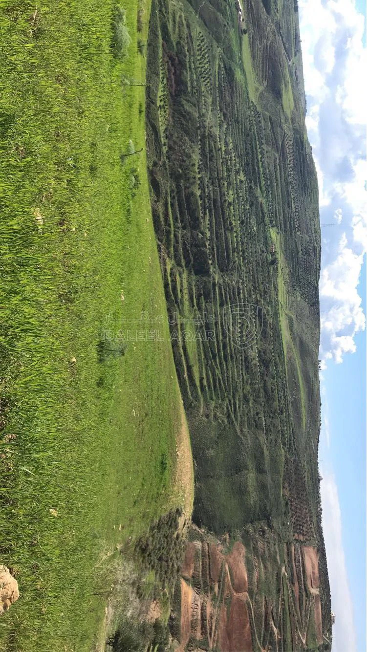 أرض في قطعة باطلالة ساحرة على سد الملك طلال  - 93,500 دأ - صورة 2
