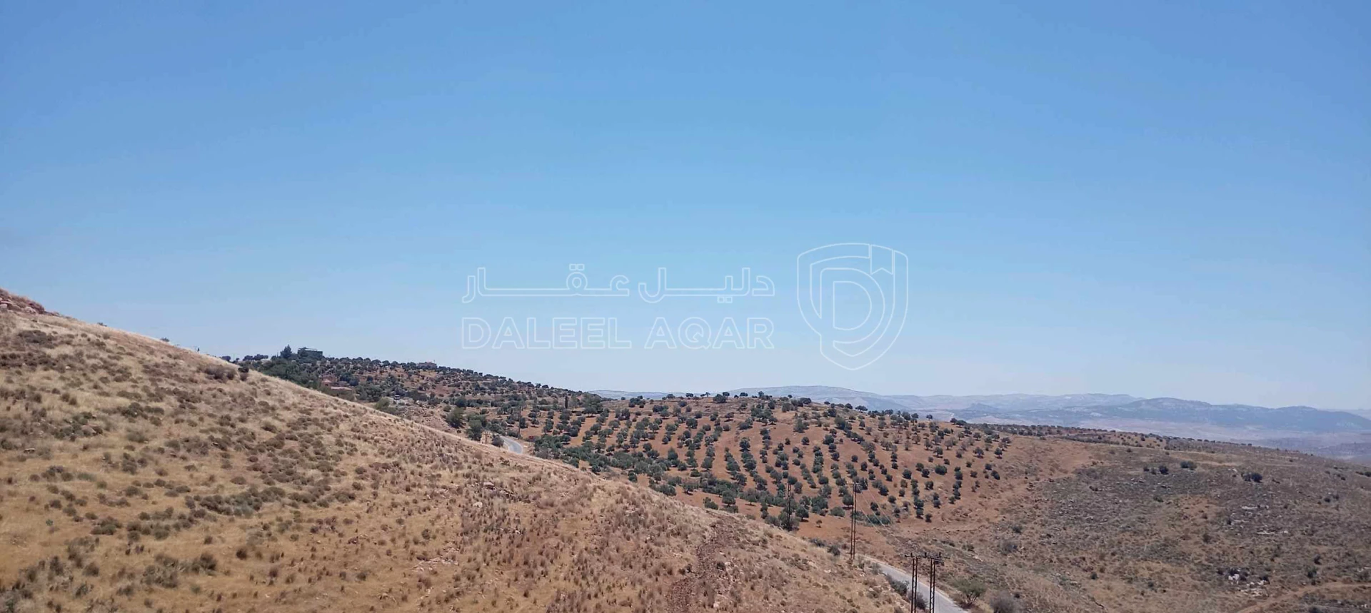 أرض في ارض للبيع تصلح مزرعة وشالية مطلة  - 20,000 دأ - صورة 1