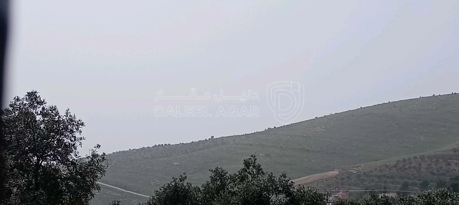 أرض في ارض للبيع تصلح مزرعة وشالية مطلة  - 20,000 دأ - صورة 1