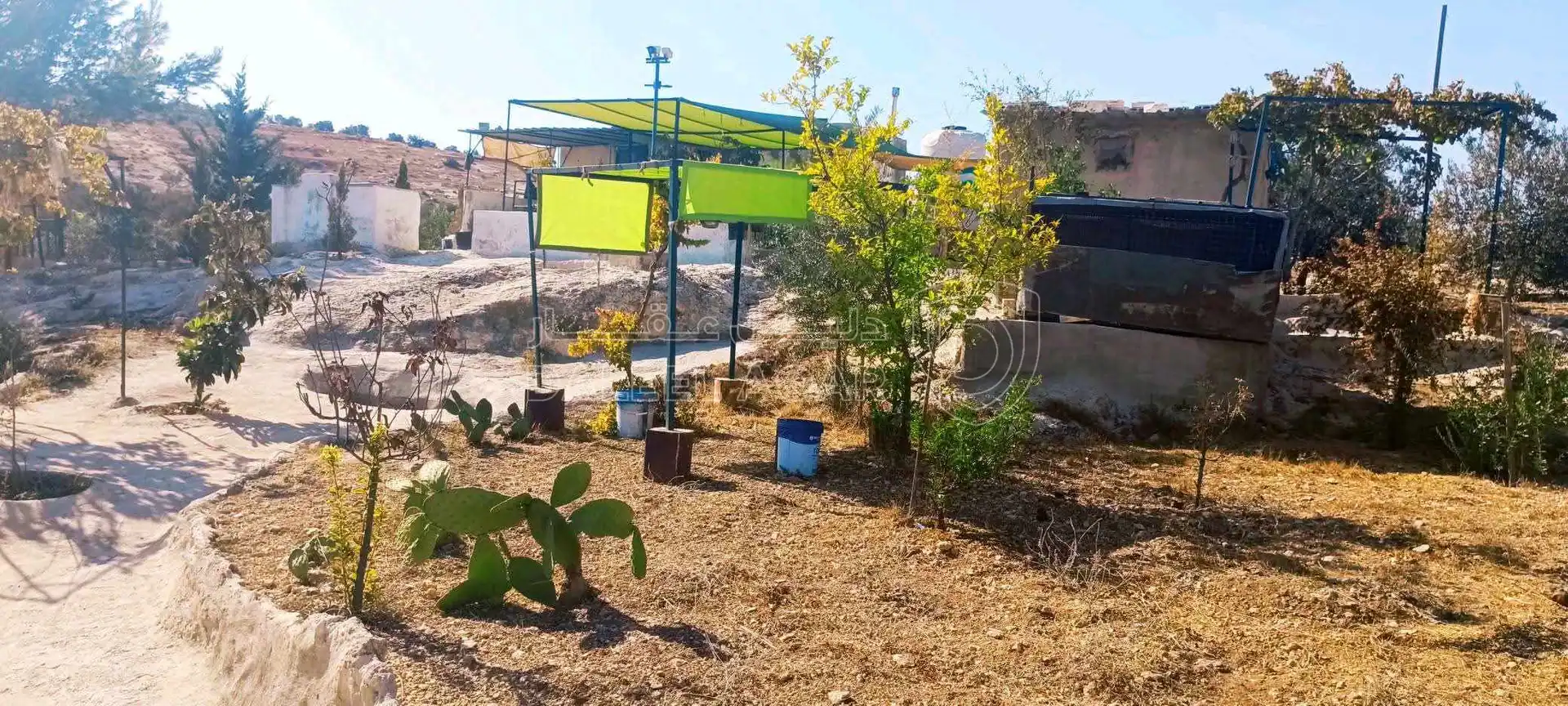 أرض في شمالية  - 319,000 دأ - صورة 1