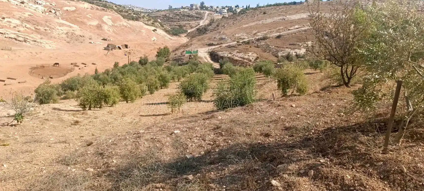 أرض في شمالية  - 319,000 دأ - صورة 1