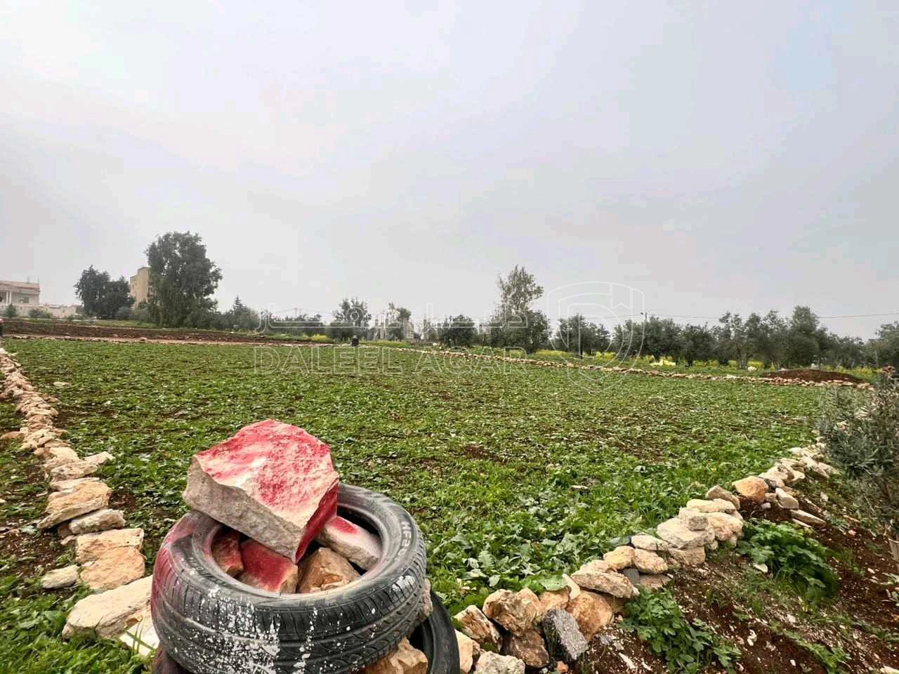 أرض في اربد _نهاية شارع الحزام الدائري منطقة تقبل - 27,000 دأ - صورة 1