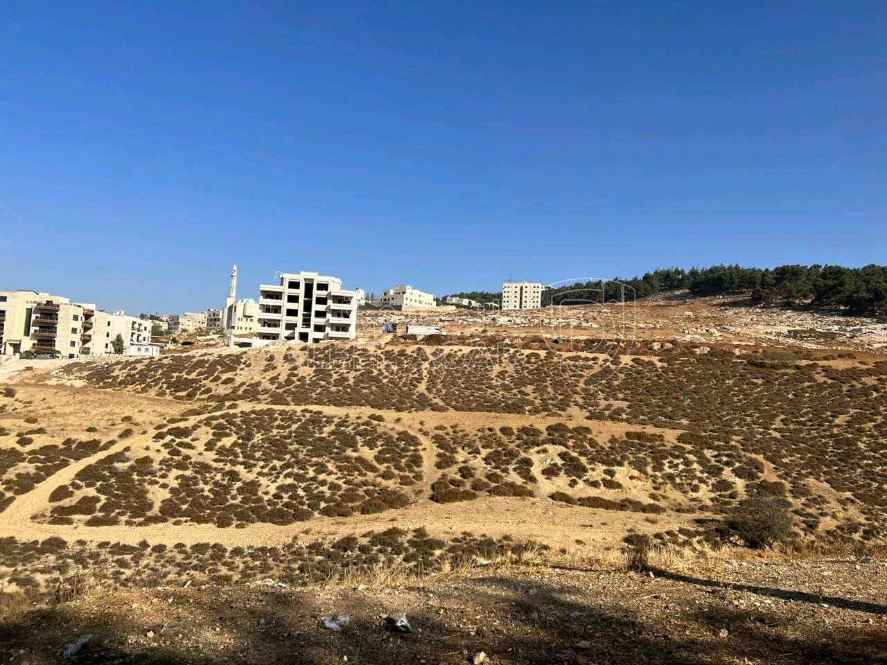 أرض في ارض مرج الحمام قريبه من دوار الدله - 235,000 دأ - صورة 4