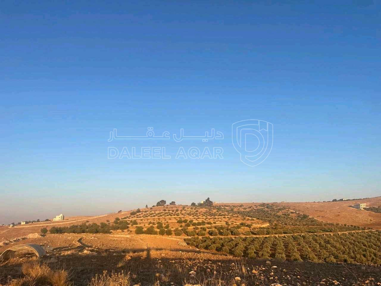 أرض في جرش قفقفا  - 105,000 دأ - صورة 8
