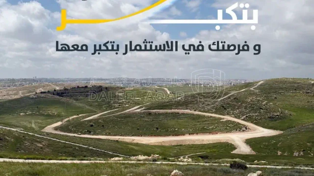 أرض في ارض للبيع في شفا بدران -زينات الربوع - 70,000 دأ - صورة 1