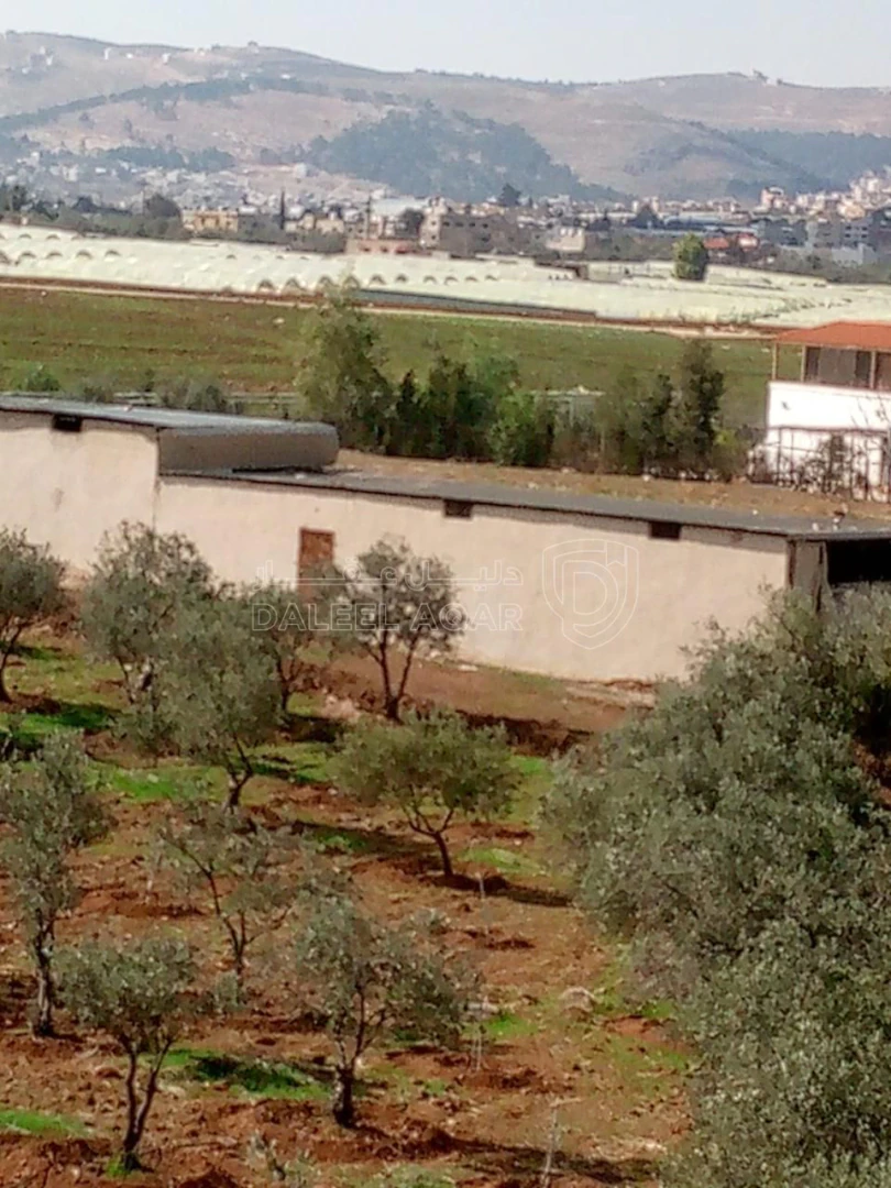 أرض في حلف حلويات العنبتاوي  - 106,000 دأ - صورة 1