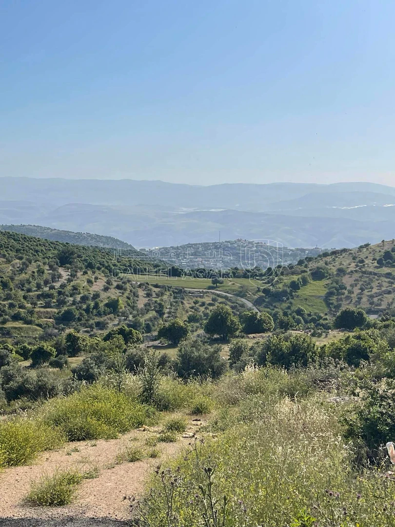 أرض في عجلون دير صماديه - 125,000 دأ - صورة 1