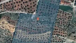 أرض في عجلون _ مزرعة الشكارة  - 445,009 دأ - صورة 1