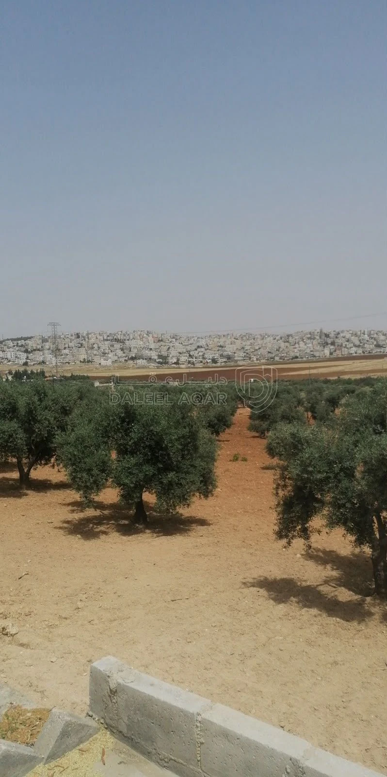 أرض في قرب اسكان الامانه. مقابل المدرسه النموذجيه للتربيه - 2,600,000 دأ - صورة 1