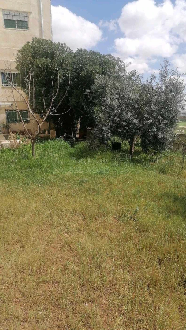 فيلا/منزل في عمان - طريق المطار - اللبن - 135,000 دأ - صورة 1