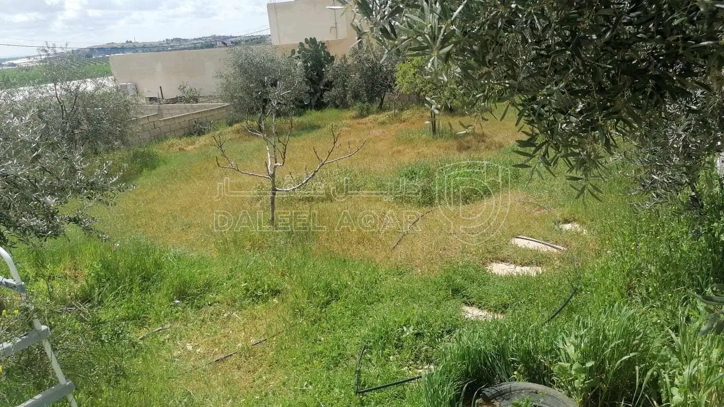 فيلا/منزل في عمان - طريق المطار - اللبن - 135,000 دأ - صورة 1